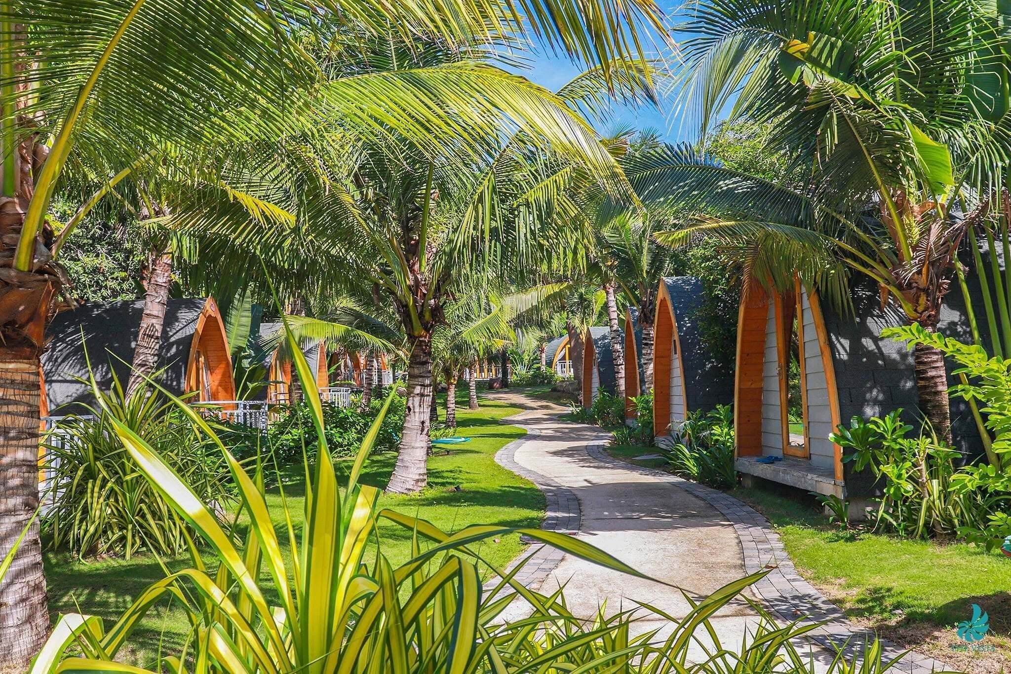 A pathway surrounded by palm trees and greenery, leading to a building with a curved roof.