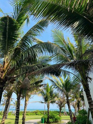 Un espace extérieur de style tropical, agrémenté de palmiers et offrant une vue dégagée sur l’océan.
