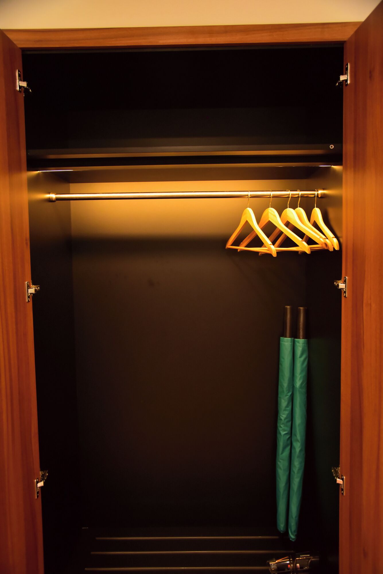 A walk-in closet with a wooden door, a metal rod for hanging clothes, and a pair of green pants hanging on the right.