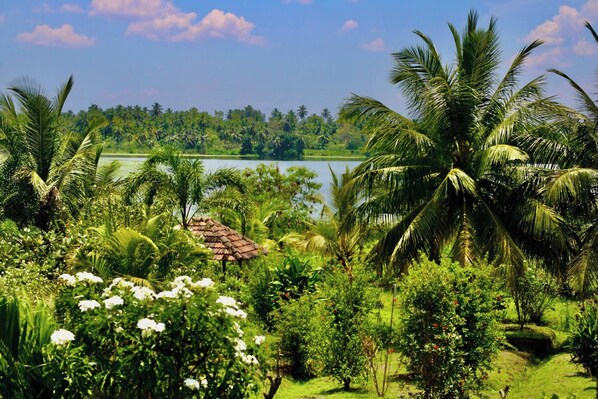 Jardines del alojamiento