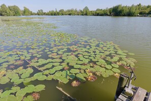 منوع