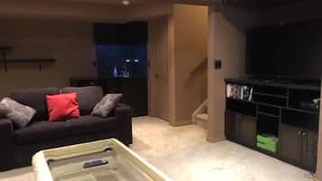 Smart-TV, Videospiele, DVD-Player, Bücher