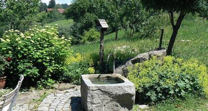 Ökohaus Komfortable Ferienresidenz