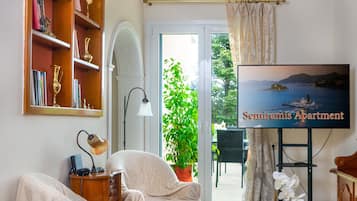 Smart TV, fireplace, books