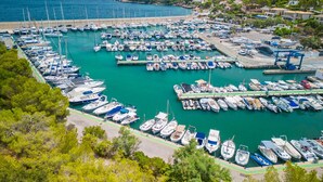 Una marina con numerosos barcos amarrados, rodeada de vegetación y edificios.