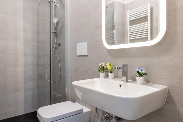 Shower, hair dryer, bidet, towels