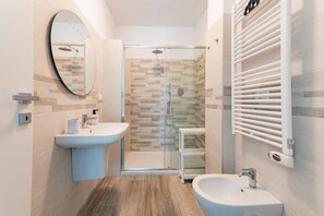 Shower, hair dryer, bidet, towels