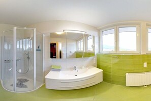 Shower, hair dryer
