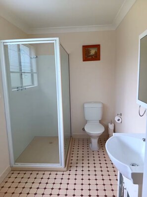 Een douche, handdoeken, zeep, toiletpapier