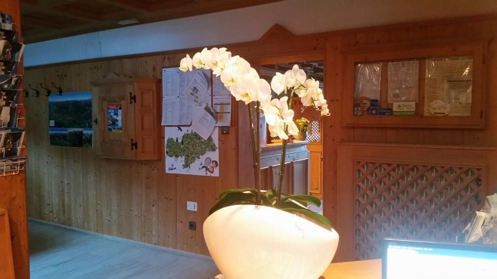 Una habitación con paredes de madera, un jarrón blanco grande con flores blancas y una ventana con vistas al exterior.