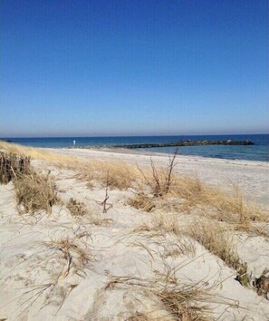 Beach - Sundeck Comfortable holiday residence (Zingst)