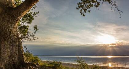 DUXCAAR / La Mer Comfortable holiday residence