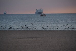 Strand