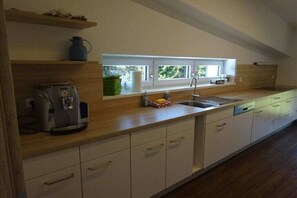 Fridge, oven, stovetop, dishwasher