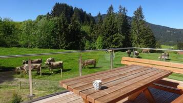 Speisen im Freien