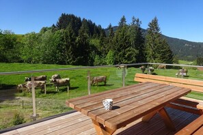 Outdoor dining - Alte Schreinerei Decent holiday residence (Jungholz\/Tirol)