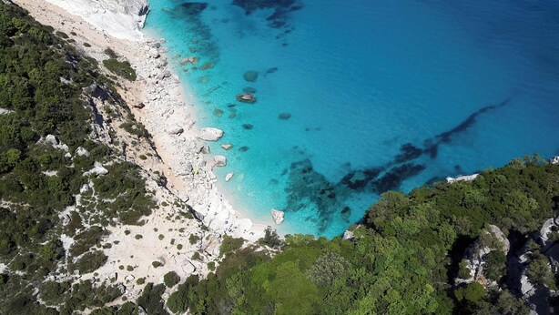 Luftaufnahme einer Küstenlandschaft mit Sandstrand, Felsen und dichter grüner Vegetation.