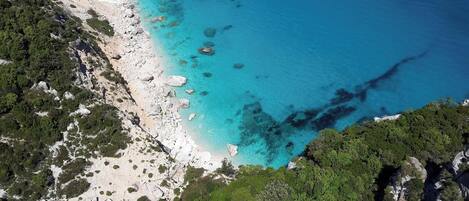 Playa en los alrededores