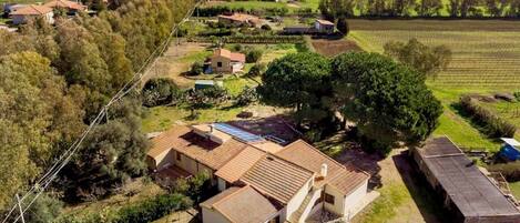 An aerial view of a rural area with houses, solar panels, and a vineyard.