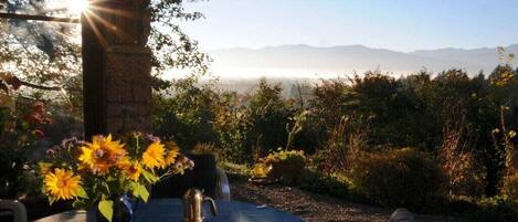 Opções para refeição ao ar livre