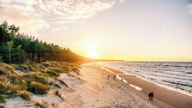 A beach with a forest on one side and the ocean on the other. - Nickel Resort & Wellnest Grzybowo (Grzybowo)