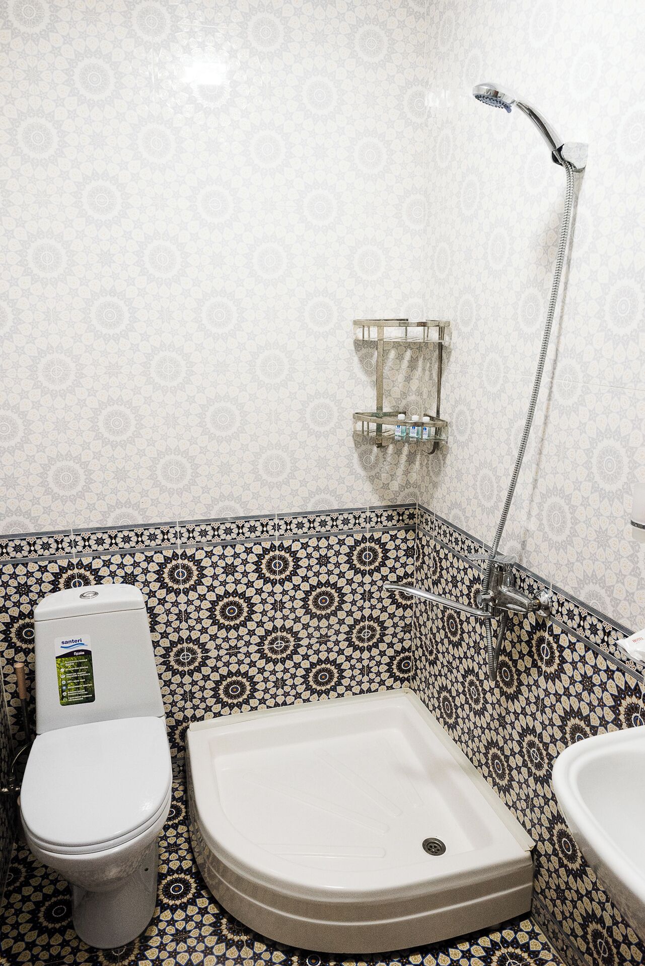 Une salle de bain équipée de toilettes, d’un bidet et d’une douche.