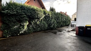 A narrow street with a hedge on one side and a building on the other. There are two trash bins and a metal fence. - Apartment 'In Fuldatal - Kassel' with Private Garden and Wi-Fi (Fuldatal)