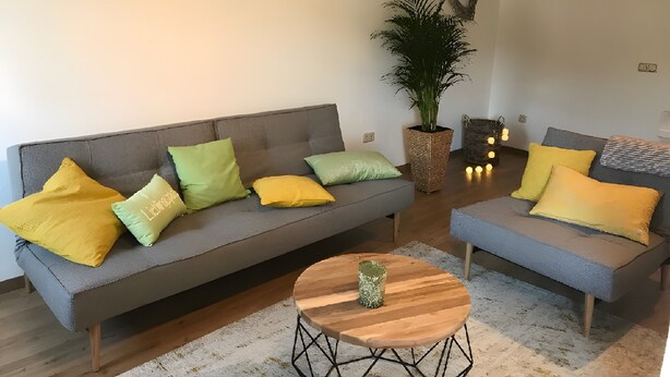 A living room with two sofas, a coffee table, a potted plant, and a wall-mounted artwork. - Holiday Home 'Am Fulda Ufer' with Wi-Fi (Rotenburg an der Fulda)