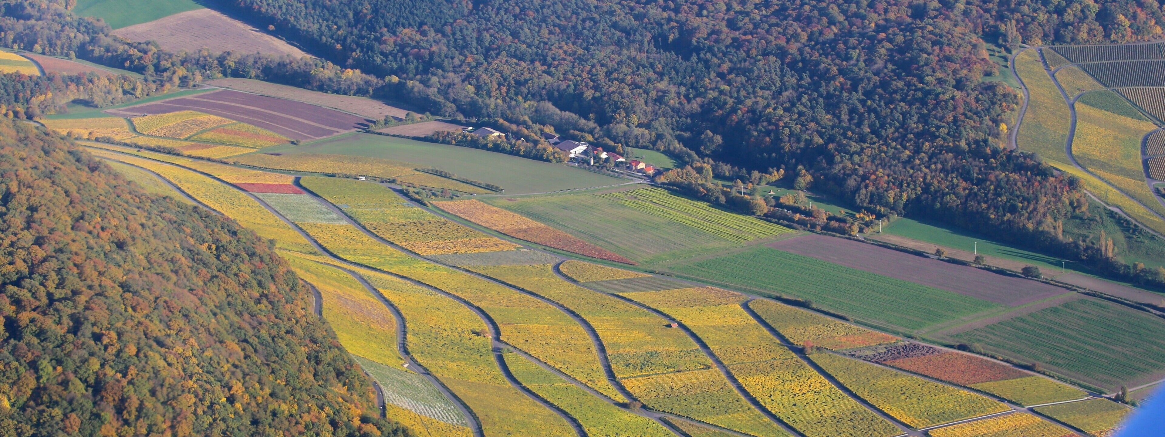 An aerial view of a rural landscape with terraced fields, a small cluster of houses, and a dense forested hill.