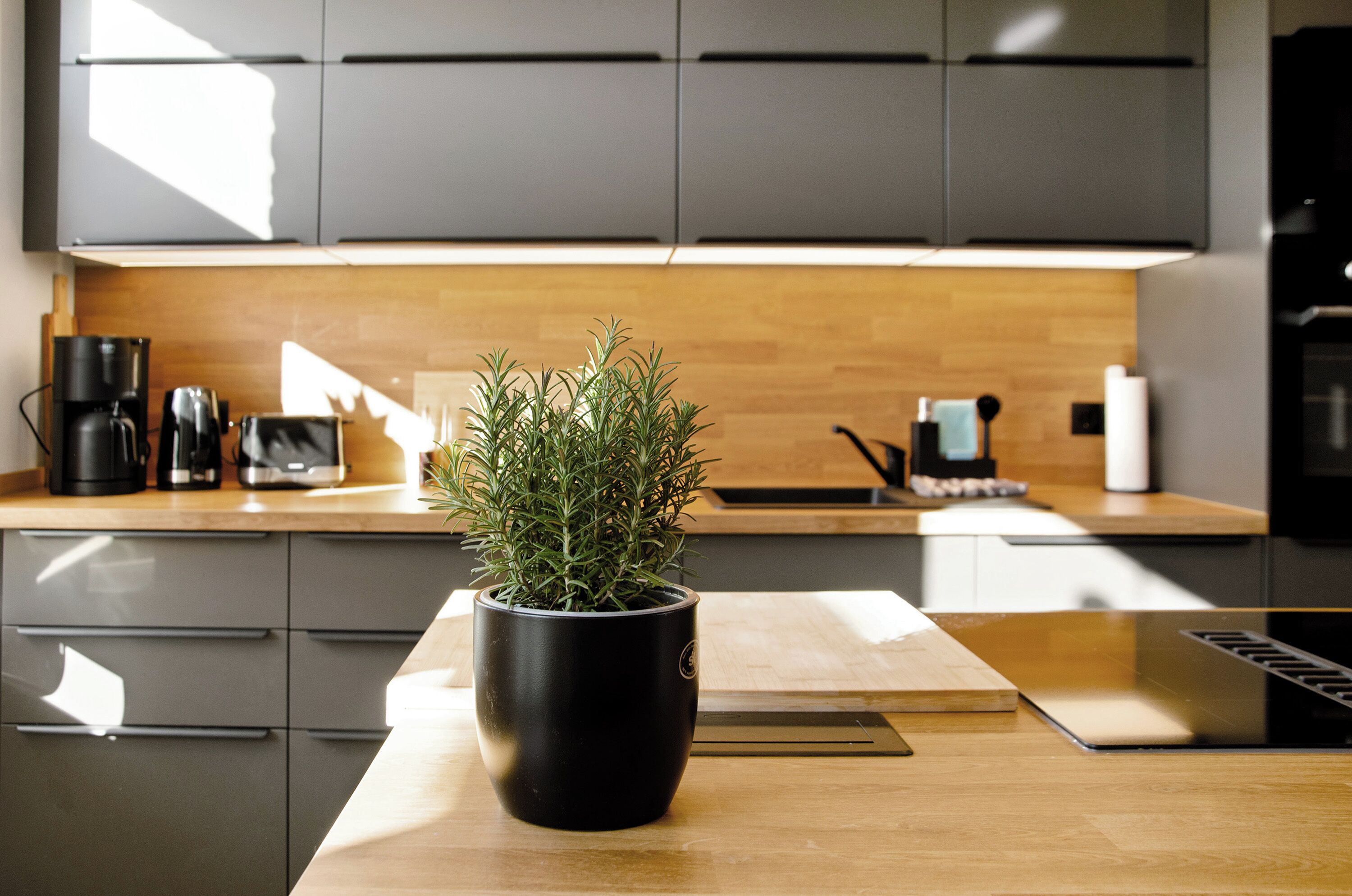 Frigorífic, microones, forn i placa de cuina 