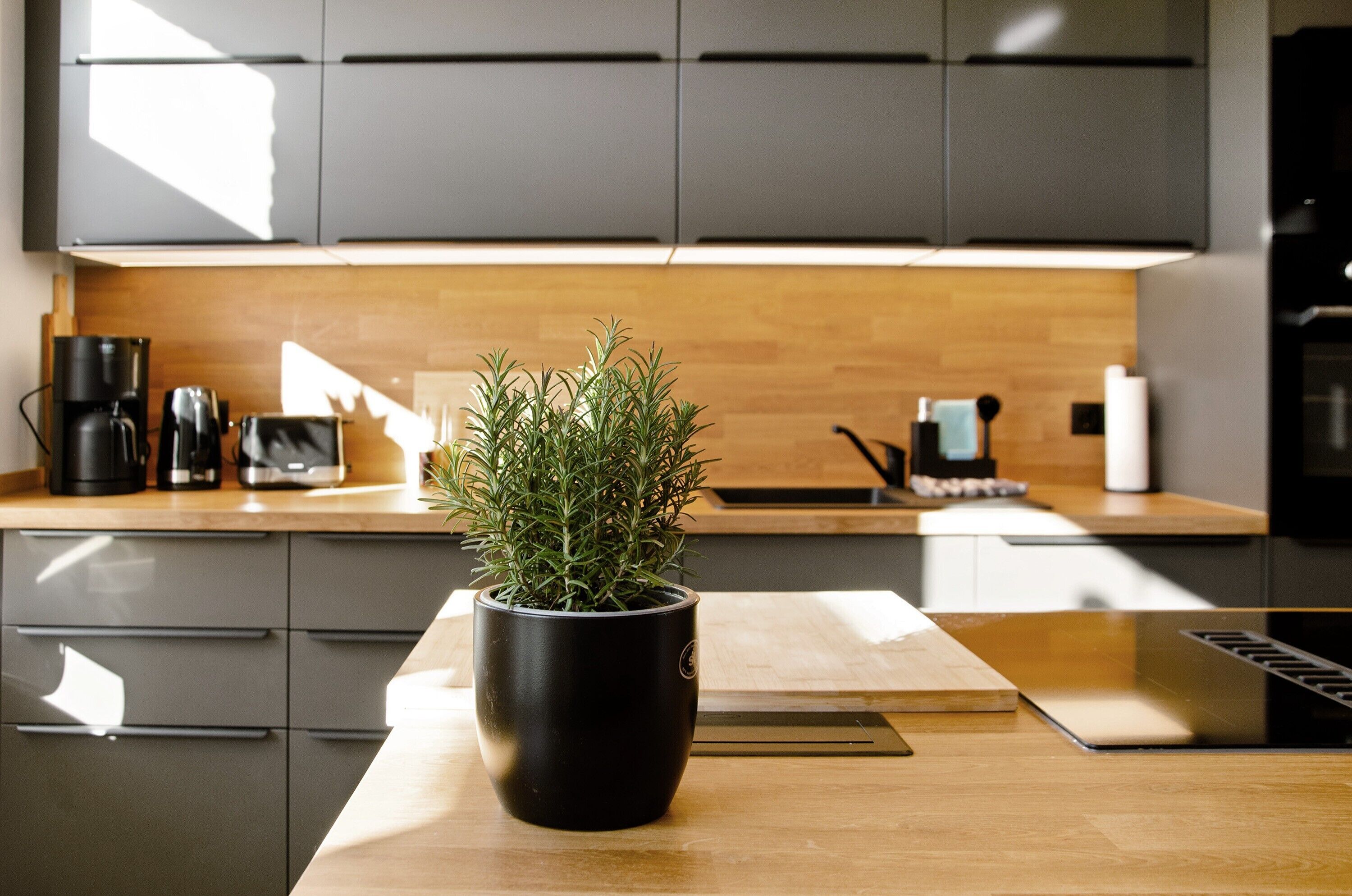 Kylskåp, mikrovågsugn, ugn och spishäll