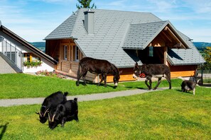 Property grounds - Apartment 'Holzschopf' with Mountain View, Private Terrace and Wi-Fi (Sankt Märgen)