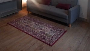 Olohuone, jossa on harmaa sohva, punainen matto ja katosta roikkuva valaisin.