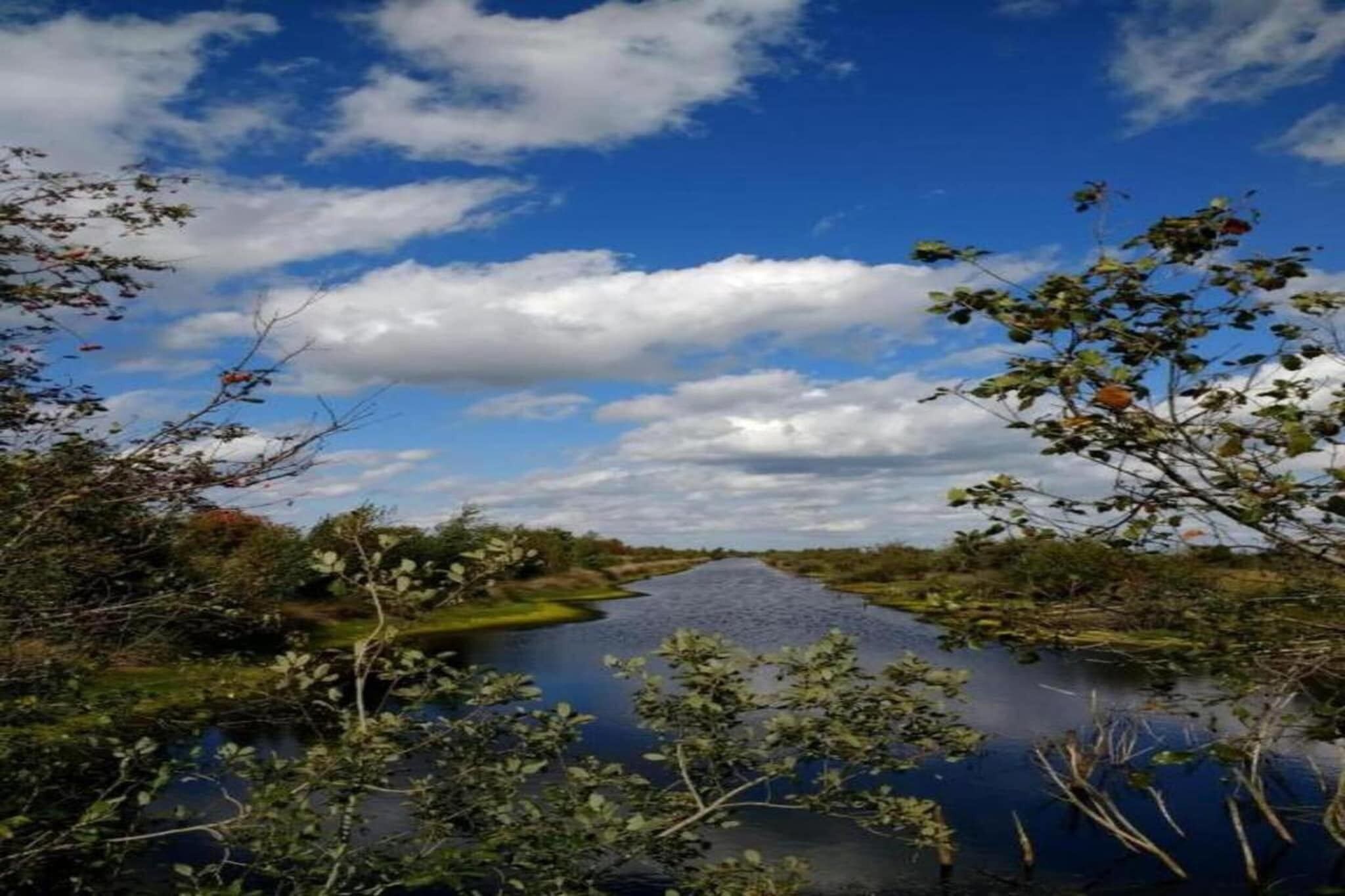 Een rivier met een heldere stroming, omringd door begroeiing.
