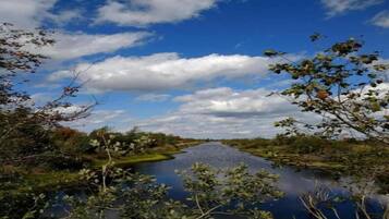 Een rivier met een heldere stroming, omringd door begroeiing.