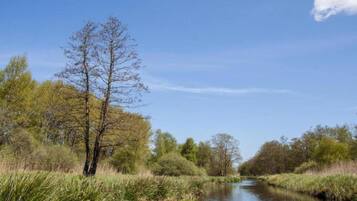 Ein Fluss fließt durch eine natürliche Landschaft, gesäumt von Bäumen und Vegetation.