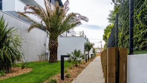Un estrecho sendero bordeado por un edificio blanco y un muro verde con plantas trepadoras.