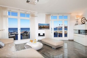 Smart TV, chimenea, reproductor de DVD y libros 