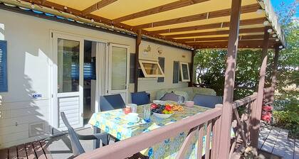 Air-conditioned mobile home, 5-minute walk from Lac de Biscarrosse "Menthe à l'eau" lake
