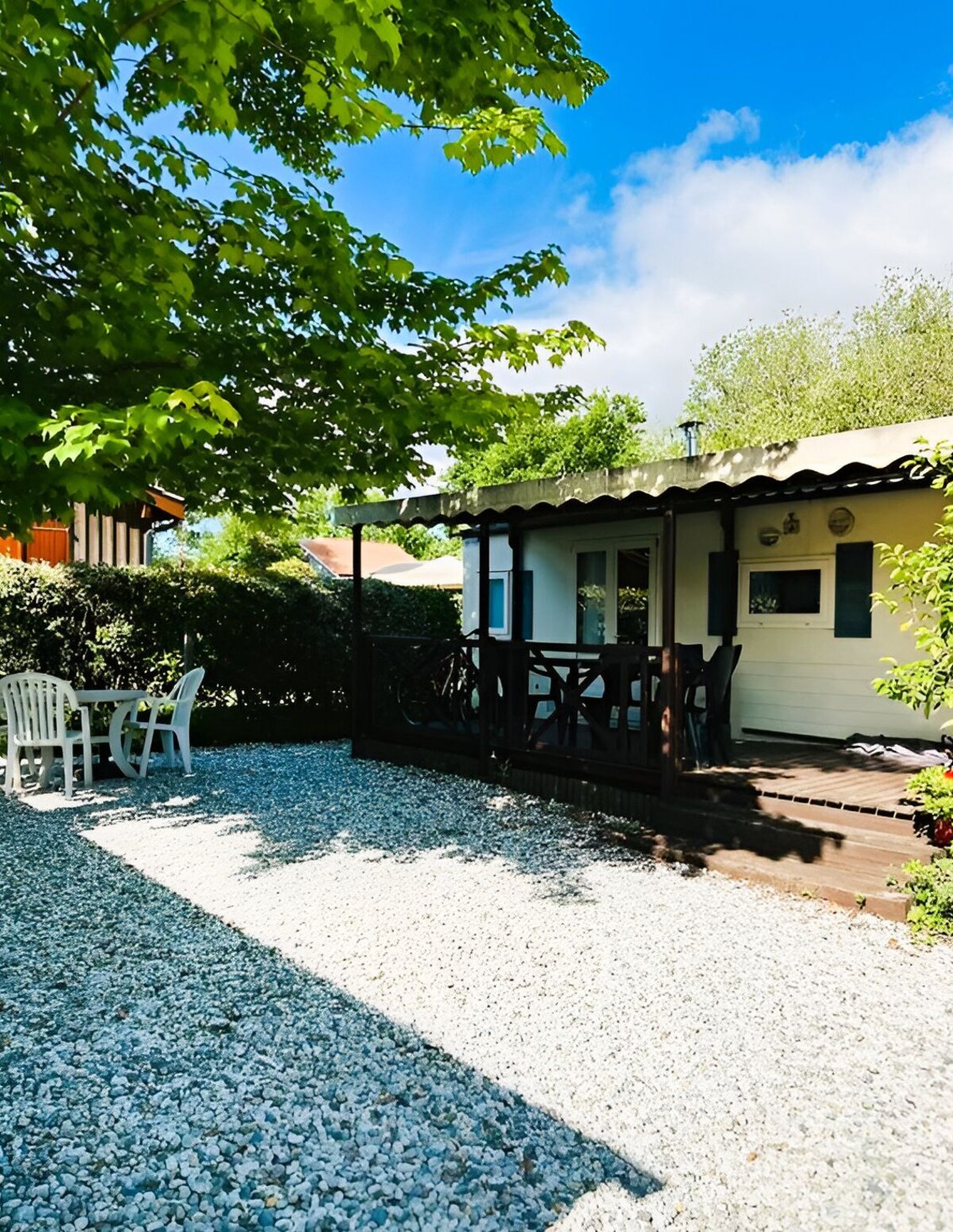 Imagen de perfil del propietario o de la propietaria