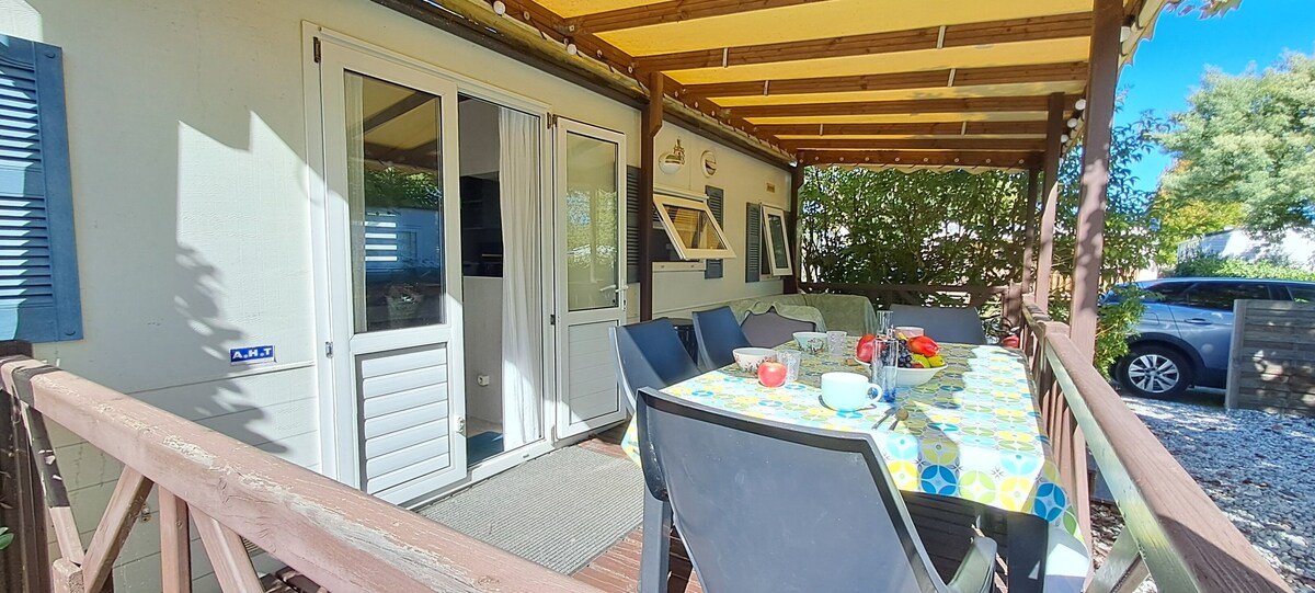 Imagen de perfil del propietario o de la propietaria