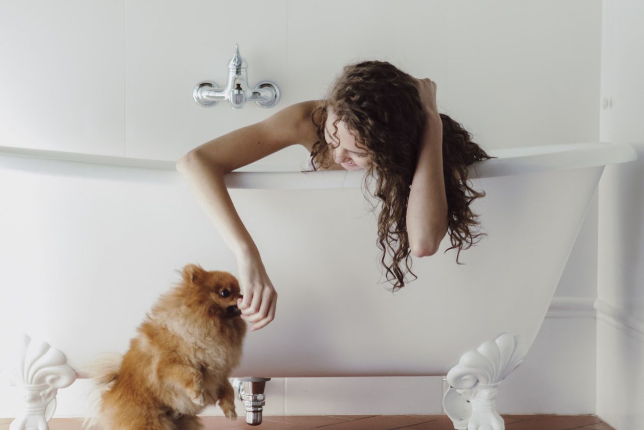 Animaux de compagnie acceptés