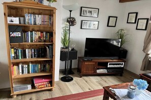 Smart TV, lareira, DVD player, livros