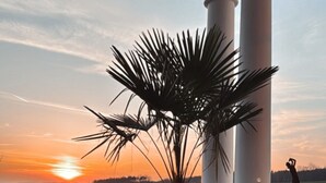 Zonsondergang uitzicht vanaf een overdekt buitengebied met een palmboom in een plantenbak, witte zuilen en een verhard pad.