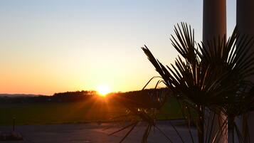 A sunset over a flat landscape with a palm tree in the foreground and a white column to the right.