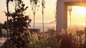 A modern building with a large open doorway, surrounded by various plants and grasses.