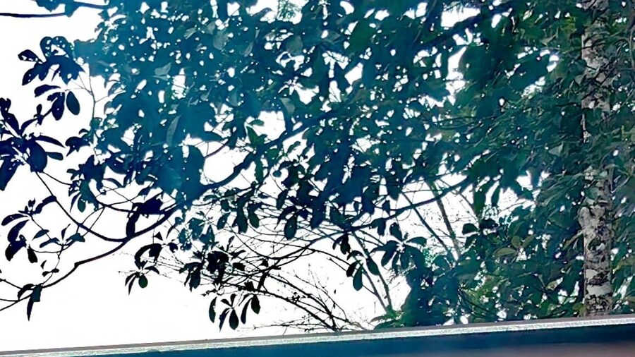 The HIJAU Camp & Cabin