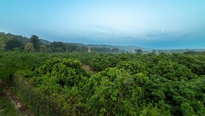 A lush green landscape with a clear sky and a distant tower. - Vanya Forest Resort (Kaladhungi)