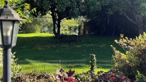 A garden with a lamp post, a fence, and a tree. - Domaine de la Vergnolle (Roches)