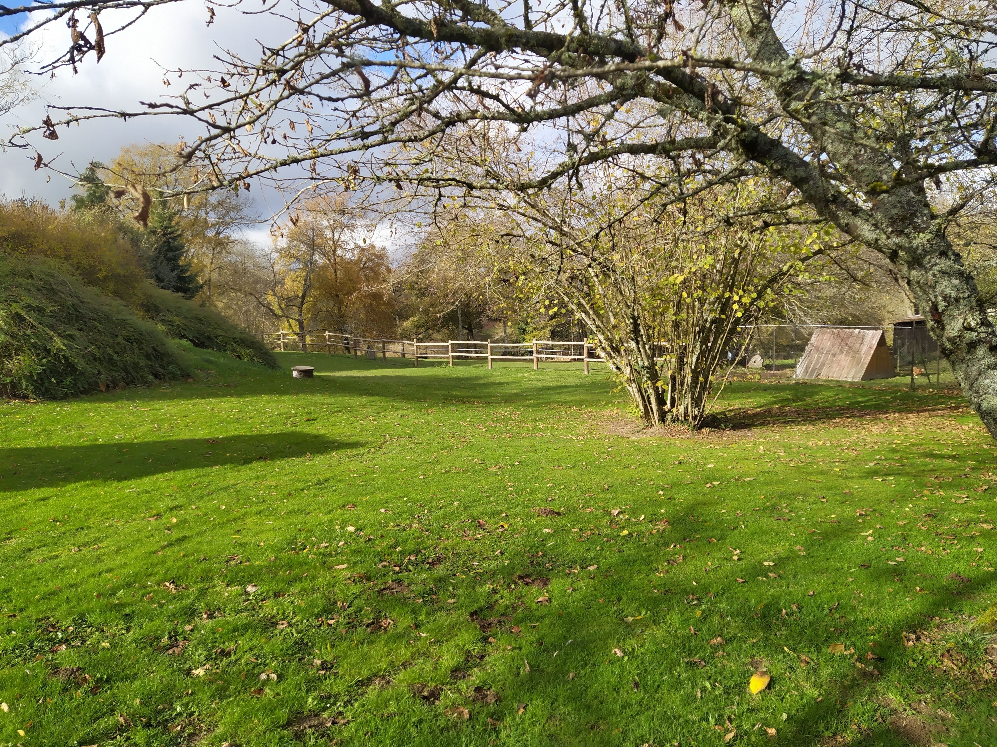 Chambre Double Confort, vue jardin | Vue de la chambre